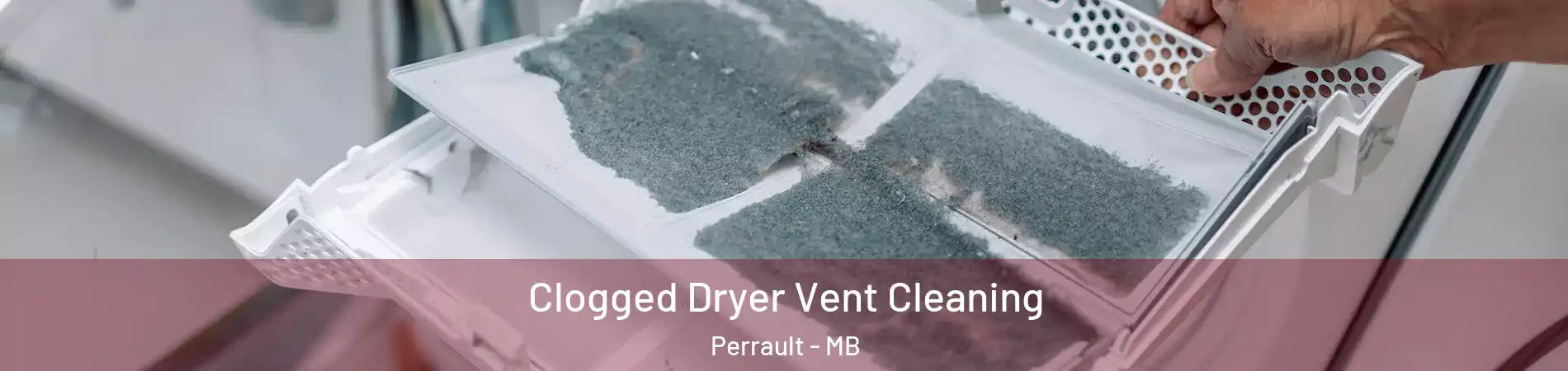  Clogged Dryer Vent Cleaning Perrault - MB