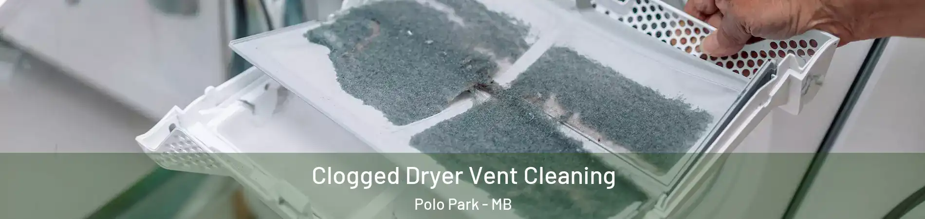  Clogged Dryer Vent Cleaning Polo Park - MB