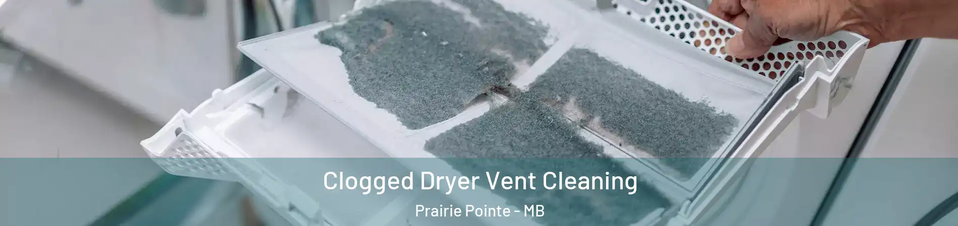  Clogged Dryer Vent Cleaning Prairie Pointe - MB