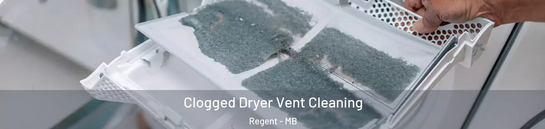  Clogged Dryer Vent Cleaning Regent - MB