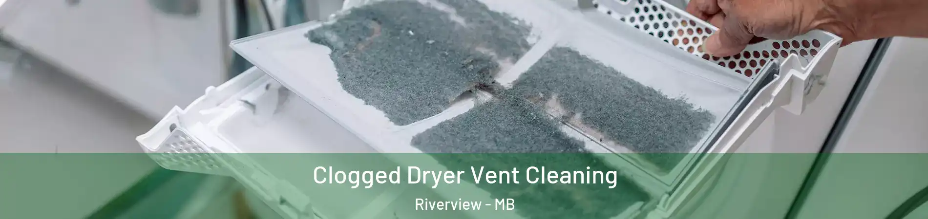  Clogged Dryer Vent Cleaning Riverview - MB
