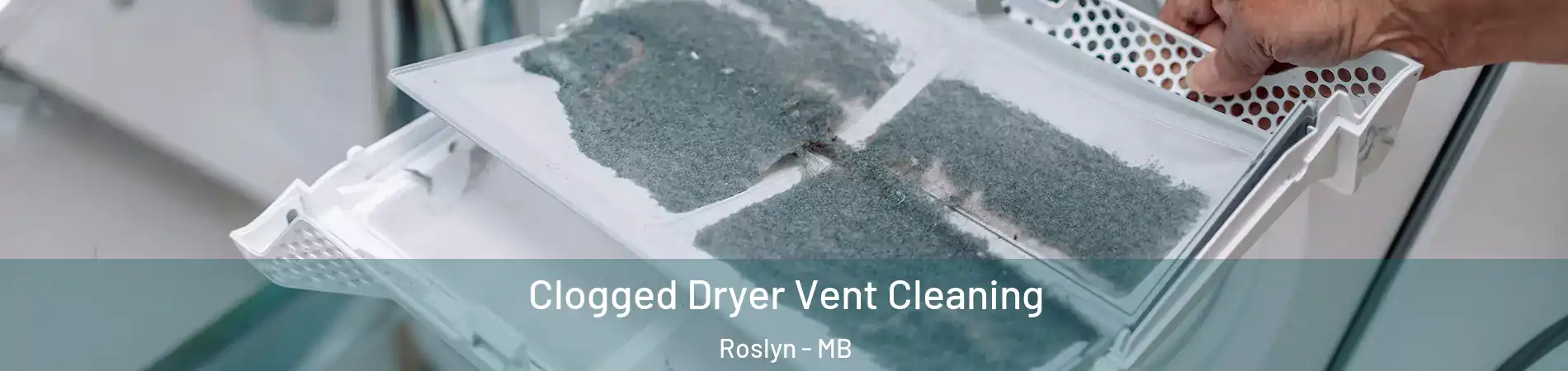  Clogged Dryer Vent Cleaning Roslyn - MB
