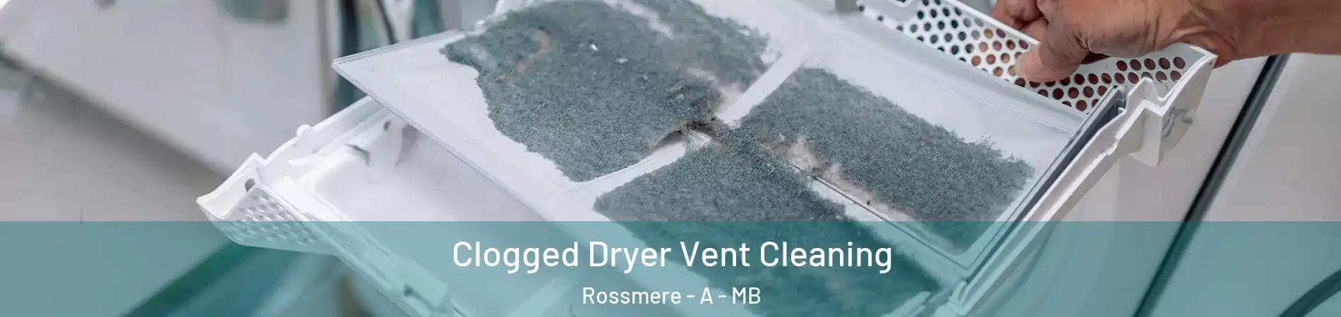  Clogged Dryer Vent Cleaning Rossmere - A - MB