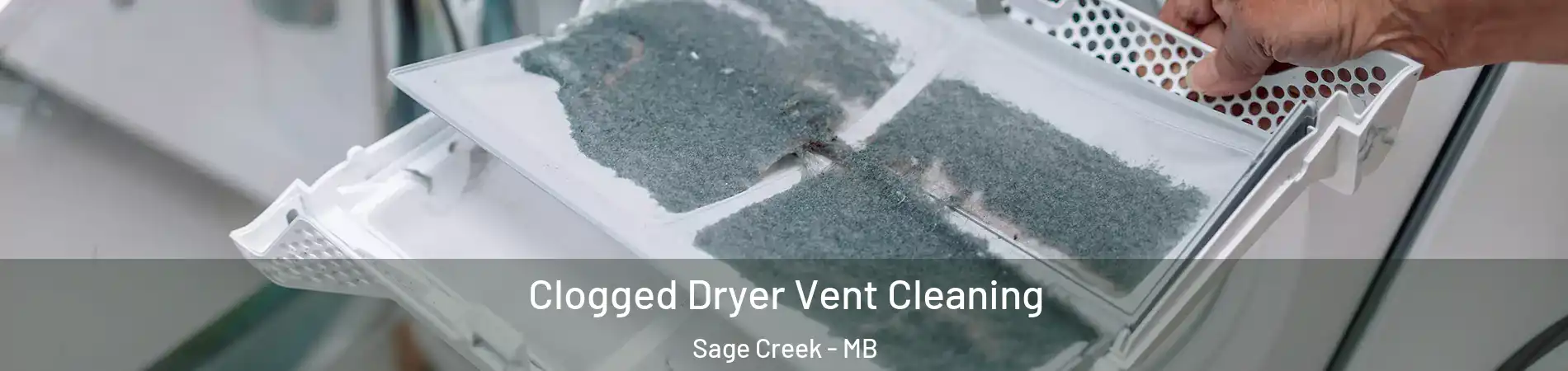  Clogged Dryer Vent Cleaning Sage Creek - MB