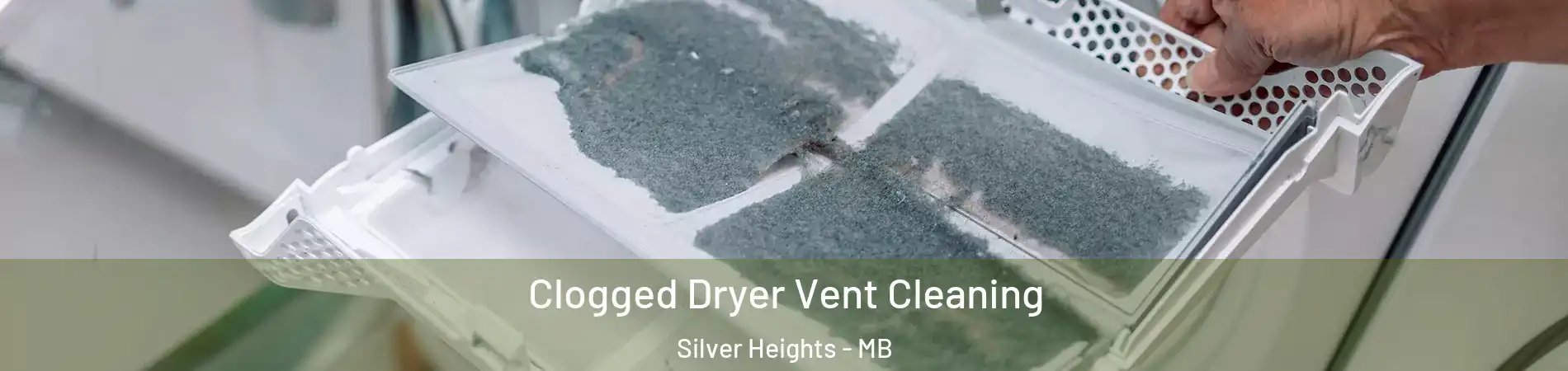  Clogged Dryer Vent Cleaning Silver Heights - MB