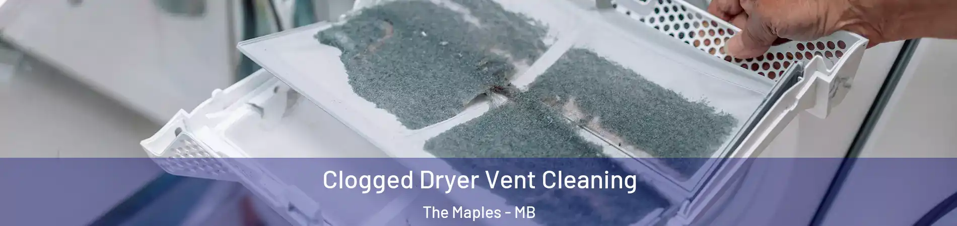  Clogged Dryer Vent Cleaning The Maples - MB