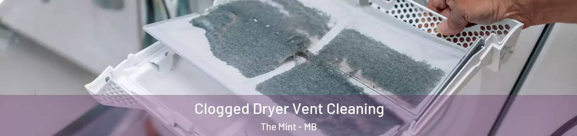  Clogged Dryer Vent Cleaning The Mint - MB