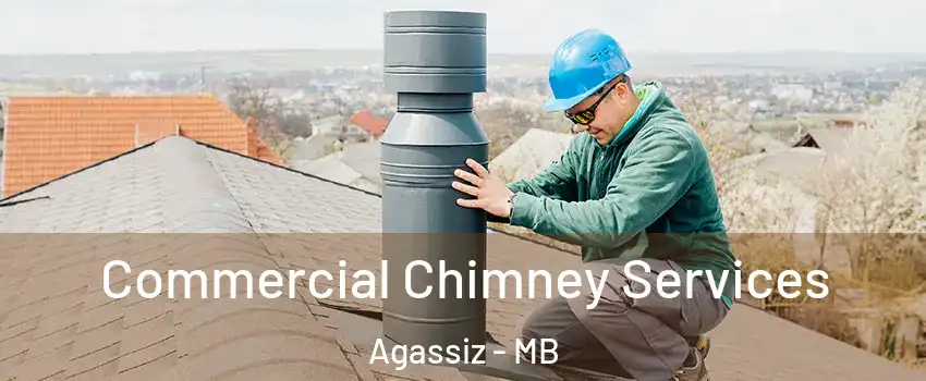  Commercial Chimney Services Agassiz - MB