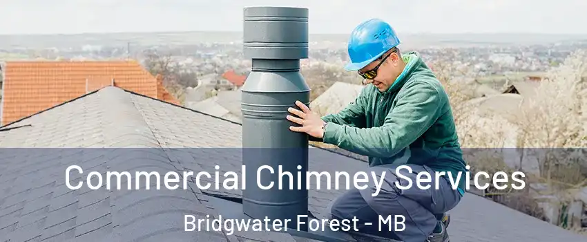  Commercial Chimney Services Bridgwater Forest - MB