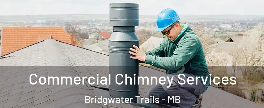  Commercial Chimney Services Bridgwater Trails - MB