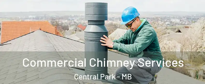  Commercial Chimney Services Central Park - MB