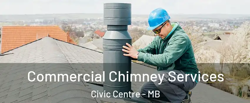  Commercial Chimney Services Civic Centre - MB