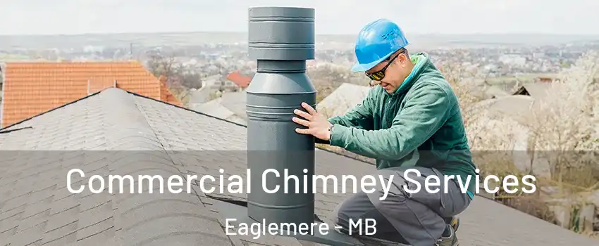  Commercial Chimney Services Eaglemere - MB