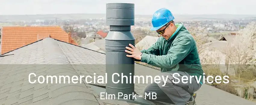  Commercial Chimney Services Elm Park - MB