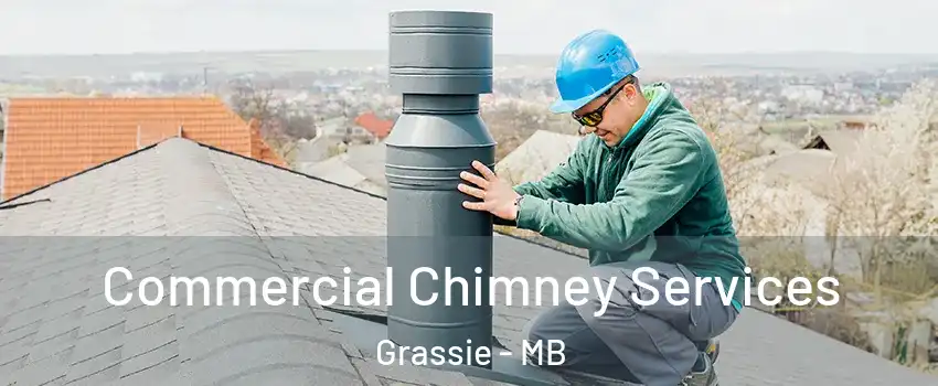  Commercial Chimney Services Grassie - MB