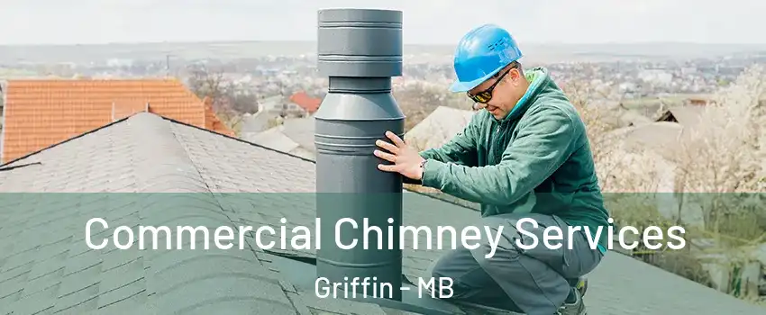  Commercial Chimney Services Griffin - MB