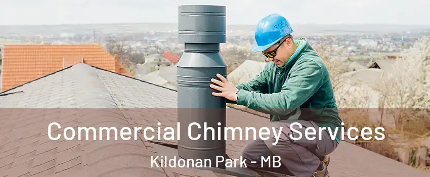  Commercial Chimney Services Kildonan Park - MB