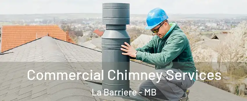  Commercial Chimney Services La Barriere - MB