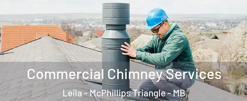  Commercial Chimney Services Leila - McPhillips Triangle - MB