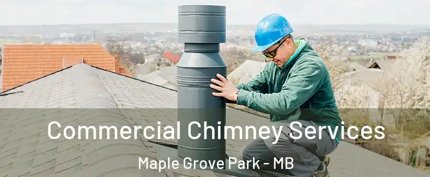  Commercial Chimney Services Maple Grove Park - MB