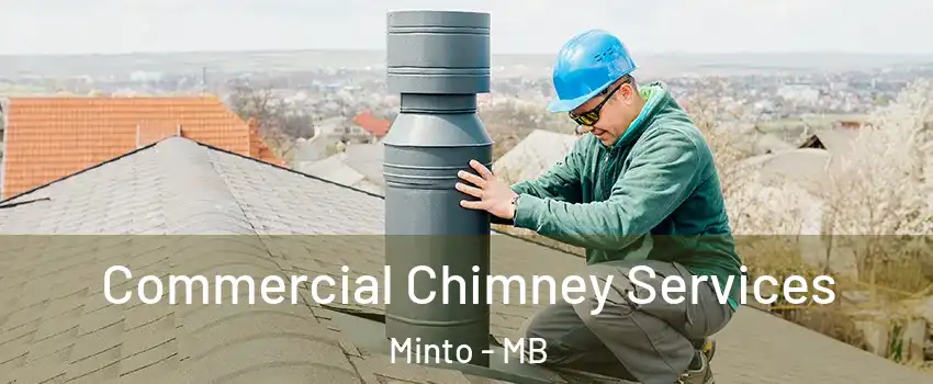  Commercial Chimney Services Minto - MB
