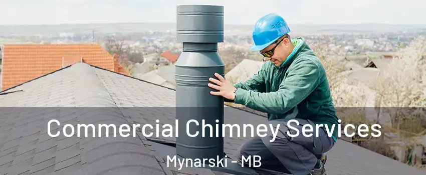  Commercial Chimney Services Mynarski - MB