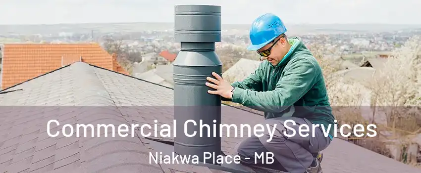  Commercial Chimney Services Niakwa Place - MB