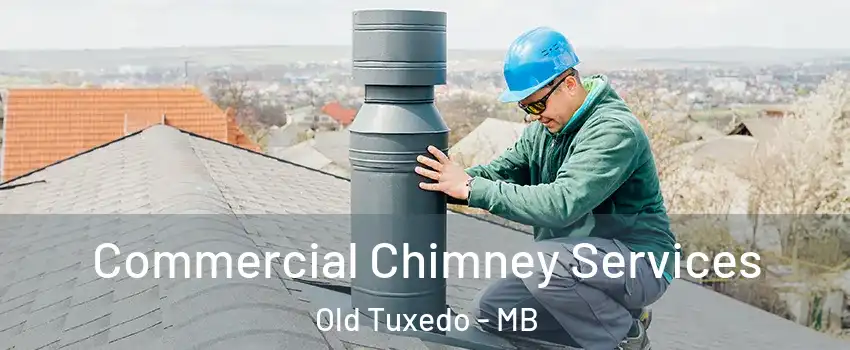  Commercial Chimney Services Old Tuxedo - MB