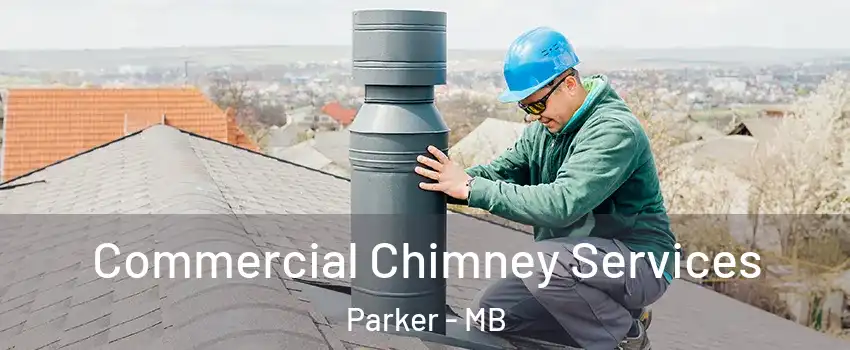  Commercial Chimney Services Parker - MB