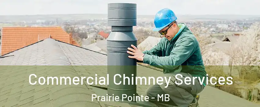  Commercial Chimney Services Prairie Pointe - MB