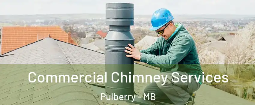  Commercial Chimney Services Pulberry - MB