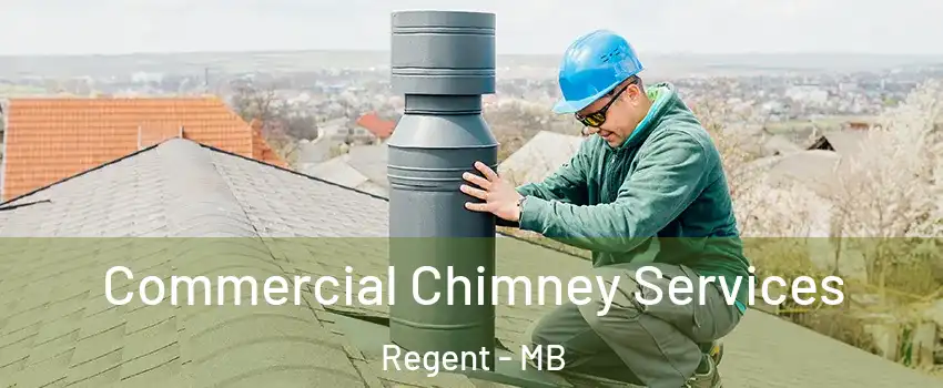  Commercial Chimney Services Regent - MB