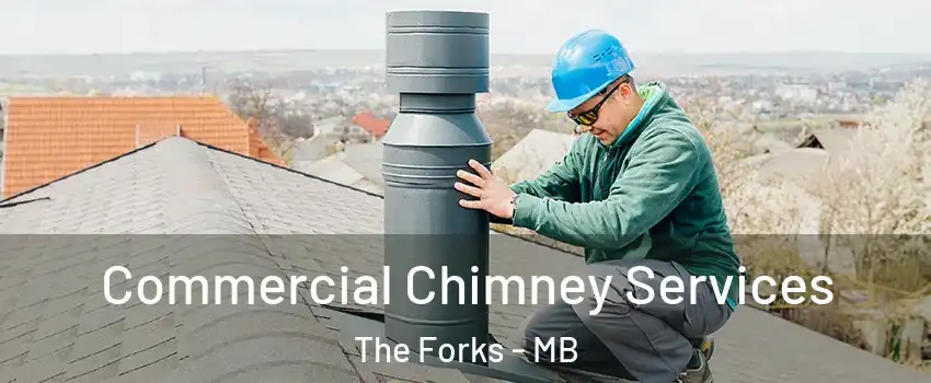  Commercial Chimney Services The Forks - MB