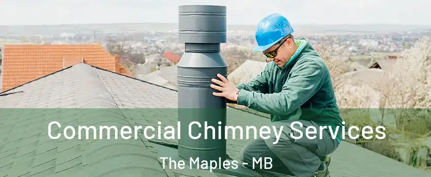  Commercial Chimney Services The Maples - MB