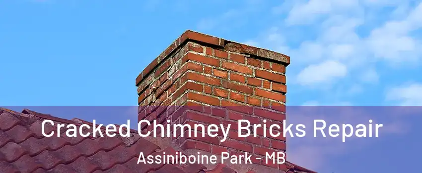  Cracked Chimney Bricks Repair Assiniboine Park - MB