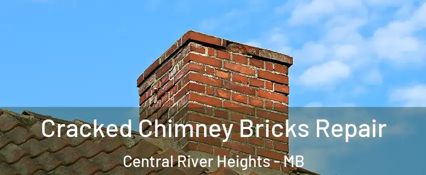  Cracked Chimney Bricks Repair Central River Heights - MB