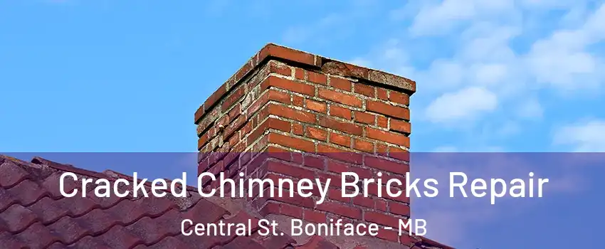  Cracked Chimney Bricks Repair Central St. Boniface - MB