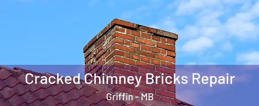 Cracked Chimney Bricks Repair Griffin - MB