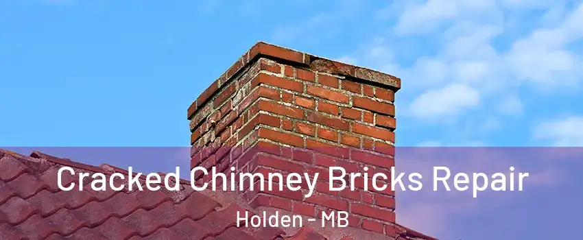  Cracked Chimney Bricks Repair Holden - MB