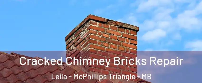  Cracked Chimney Bricks Repair Leila - McPhillips Triangle - MB