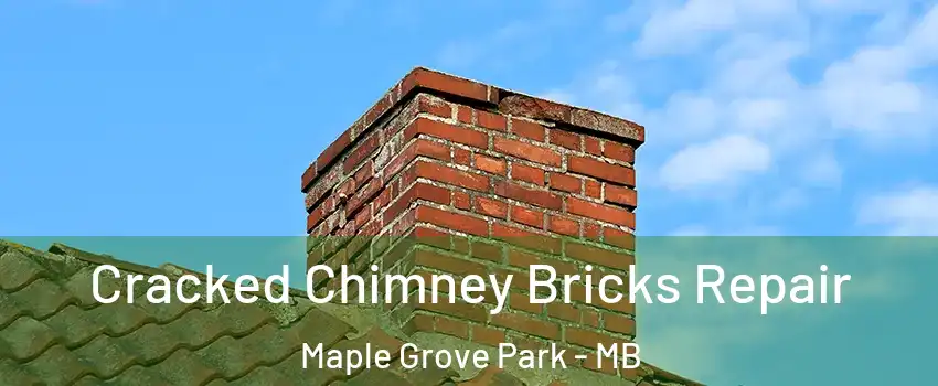  Cracked Chimney Bricks Repair Maple Grove Park - MB