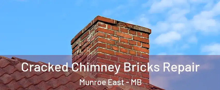  Cracked Chimney Bricks Repair Munroe East - MB