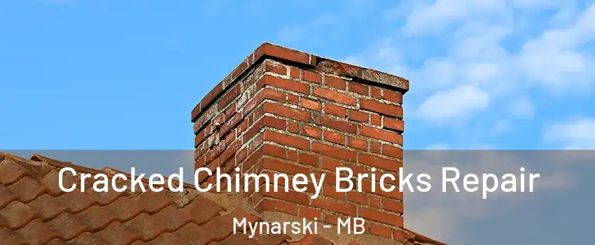  Cracked Chimney Bricks Repair Mynarski - MB