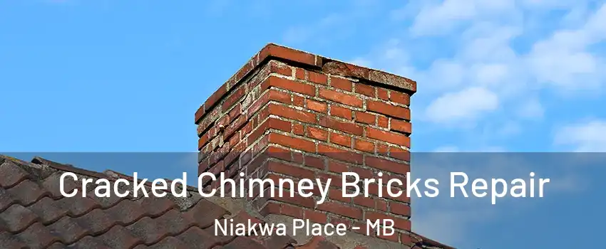  Cracked Chimney Bricks Repair Niakwa Place - MB