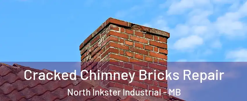  Cracked Chimney Bricks Repair North Inkster Industrial - MB