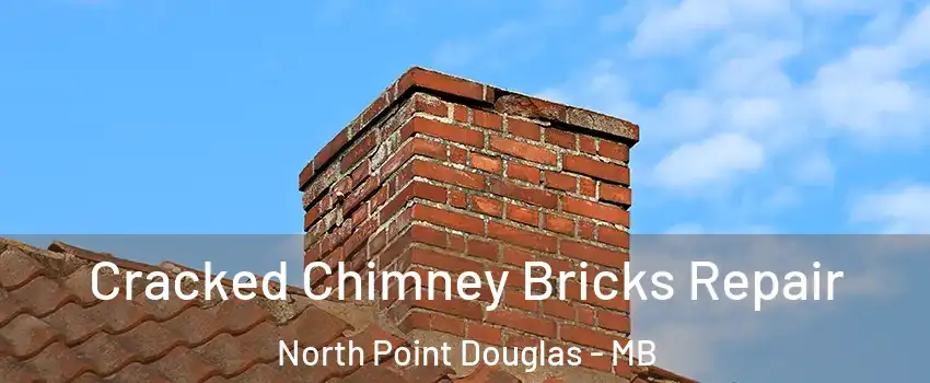  Cracked Chimney Bricks Repair North Point Douglas - MB