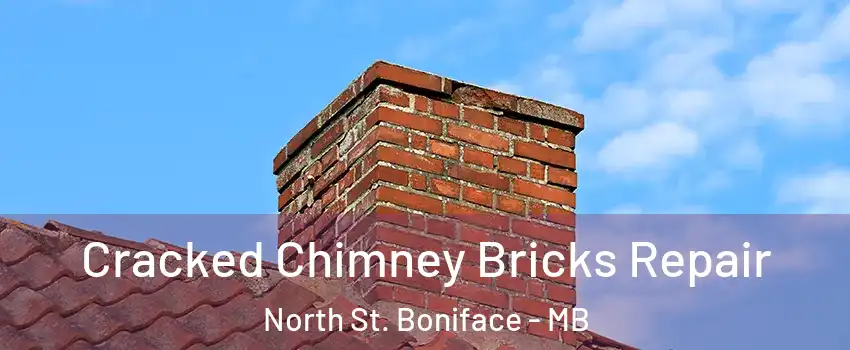  Cracked Chimney Bricks Repair North St. Boniface - MB