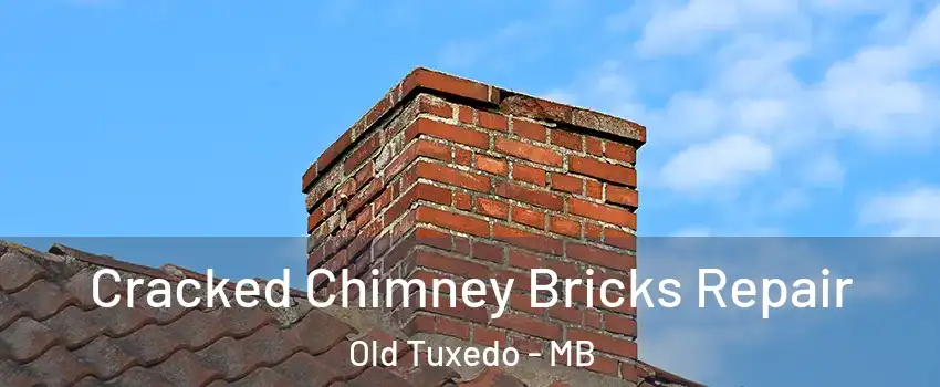 Cracked Chimney Bricks Repair Old Tuxedo - MB