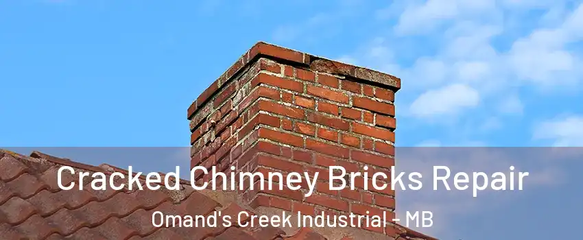  Cracked Chimney Bricks Repair Omand's Creek Industrial - MB