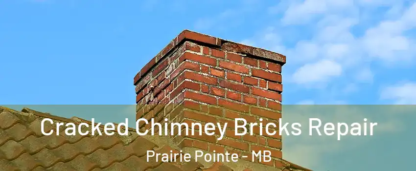  Cracked Chimney Bricks Repair Prairie Pointe - MB